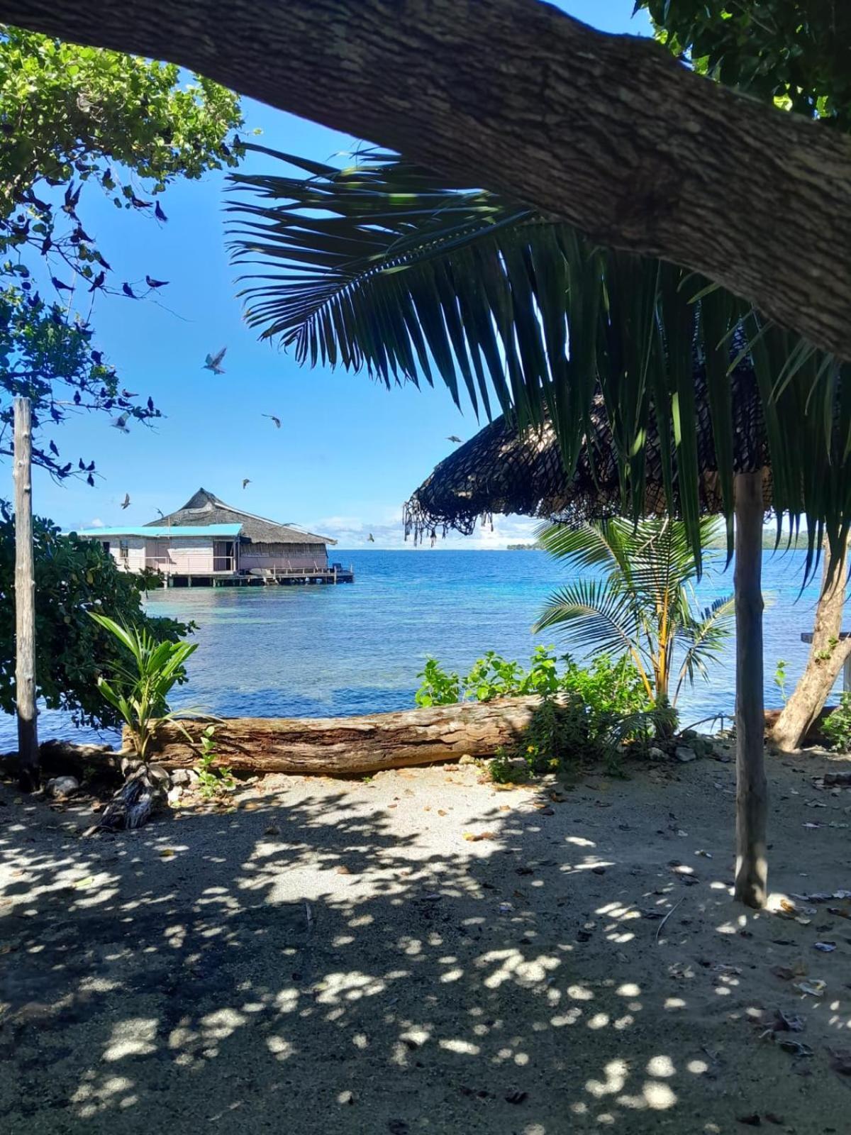 Imagination Island Eco Resort Gizo Exterior foto